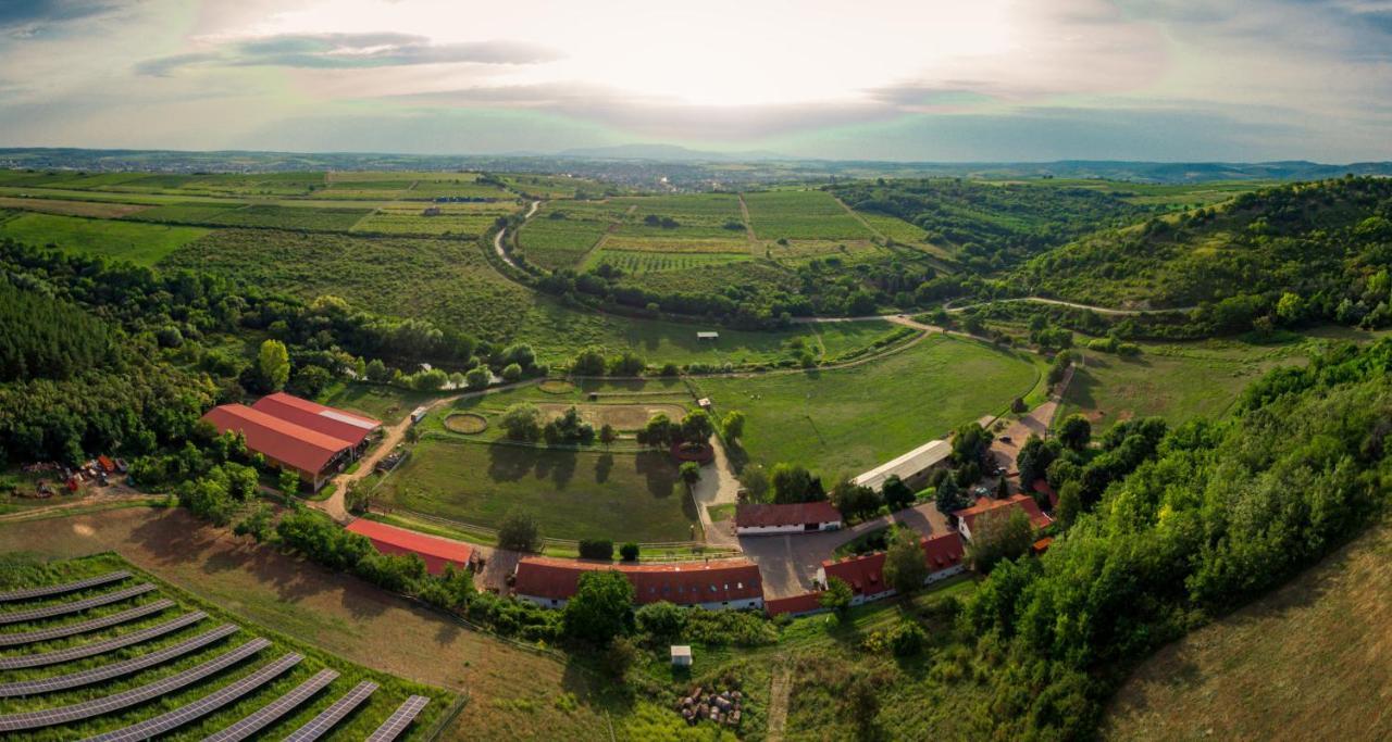 Mátyus Udvarház Bed and Breakfast Eger Esterno foto