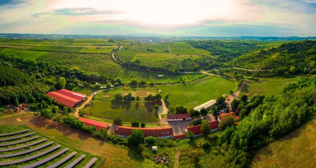 Mátyus Udvarház Eger Esterno foto